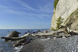 Chalk Rock Formations Europe Prints: The chalk cliffs of Rugen