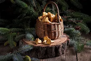 Vegetarian Meal Ideas Prints: Chanterelle