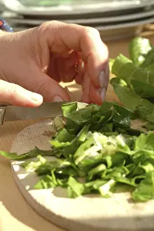 Healthy Eating Habits Tips Prints: Chard