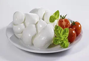Dairy Product Photography Prints: Cheese, mozzarella, on a light background