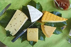 Breakfast Table Setting Prints: Cheese platter with different types of cheese