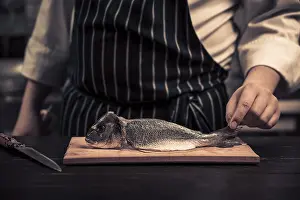 Male Chef Cooking Prints: Chef cutting the fish on a board