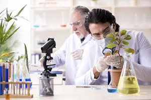 Laboratory Work Prints: Two chemists working in the lab
