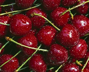 Cherry Nutrition Prints: Cherries
