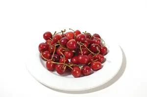Cherry Nutrition Prints: Cherries