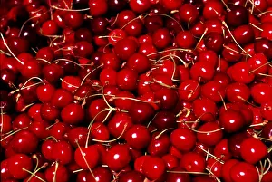 Horizontal Food Format Prints: Cherries