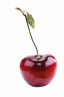 Red Coloured Cherries Prints: Cherry