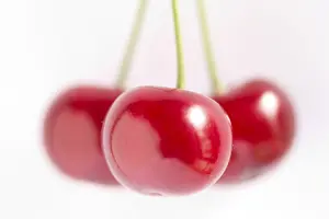 Cherry Fruit Prints: Cherry
