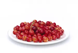 Cherry Fruit Prints: Cherry, cherry