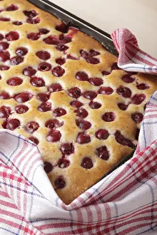 Baked Goods Close View Prints: Cherry sponge cake closeup, opened after baking