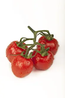 High Angle View Of Tomatoes Prints: Cherry tomatoes