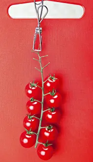 Cherry Tomatoes Prints: Cherry tomatoes