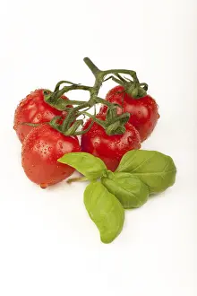 High Angle View Of Vegetables Prints: Cherry tomatoes with basil