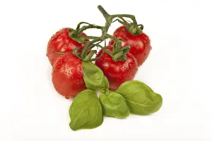 High Angle View Of Vegetables Prints: Cherry tomatoes with basil