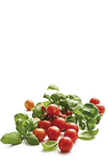 Fresh Basil Prints: Cherry tomatoes with basil