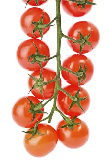 Studio Shot Food Prints: Cherry tomatoes on the white