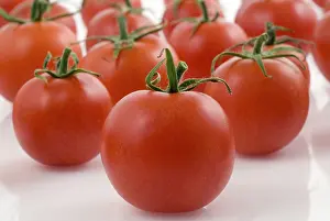 Cherry Tomatoes Prints: Cherry Tomatoes on white background