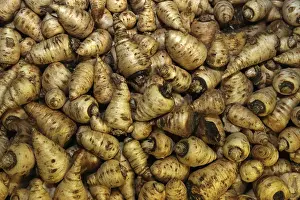 Empty Landscape Prints: Chervil turnips