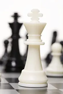 Prints of Chess on a white isolated studio background, Novosibirsk, Russia Novosibirsk Prints: Chess Print on White Studio Background, Novosibirsk, Russia