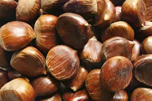 Winter Food Photography Prints: Chestnuts