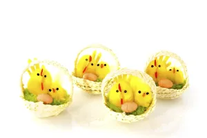 Young Bird Species Prints: Chicks in little baskets