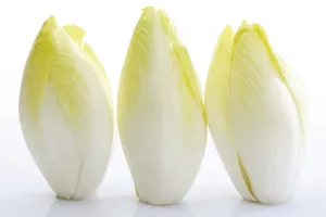 Fresh Vegetable Cutouts Prints: Chicory
