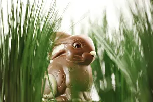 Traditional Easter Decoration Prints: Chocolate Easter Bunny in the Grass