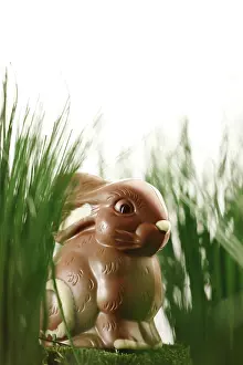 Easter Tradition Decoration Prints: Chocolate Easter Bunny in the Grass