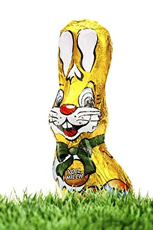 High Calorie Treats Prints: Chocolate easter bunny on grass