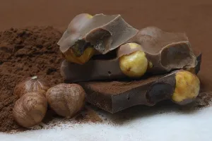 Cocoa Powder Treats Prints: Chocolate with whole hazelnuts