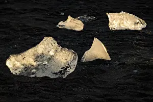 Glacier Lagoon Prints: Chunks of ice are illuminated by the sun