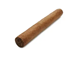 Indulgence Food Images Prints: Cigar