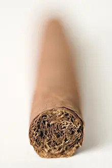 Unhealthy Smoking Habits Prints: Cigar