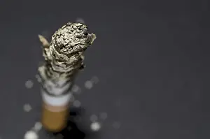 No People Smoking Prints: Cigarette with Ash