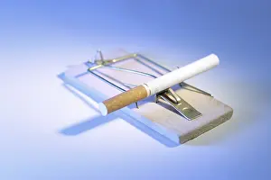 Unhealthy Tobacco Habit Prints: Cigarette on a mouse trap