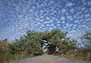 Northern Germany Nature Reserve Prints: Circular trail, DarBer Ort