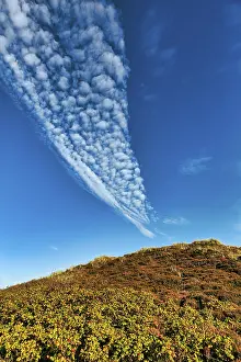 Cirrocumulus Clouds Prints: Cirrocumulus, blue sky over a dune