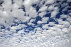 Cirrocumulus Clouds Prints: Cirrocumulus clouds in the sky