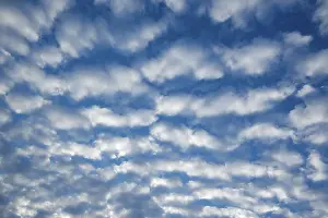 Cirrocumulus Clouds Germany Prints: Cirrocumulus clouds, small fluffy clouds, Germany