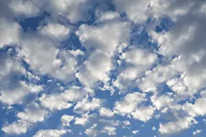 Overcast Sky Germany Prints: Cirrocumulus, small fleecy clouds, Germany