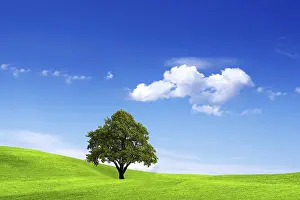 Agricultural Environment Prints: Clean Environment