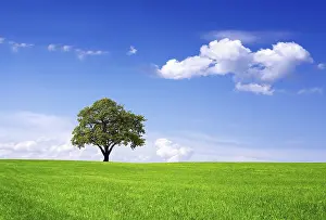 Deserted Countryside Scene Prints: Clean environment