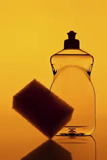 Studio Still Life Prints: Cleaning agent with a sponge