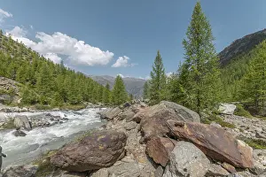 Serene River Prints: The clear river flows swiftly between rocks
