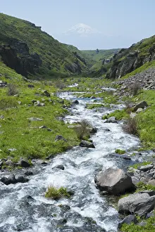 Armenia Landscape Photography Prints: Clear stream flows through a green