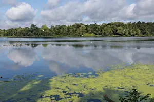 Cloudy Landscape Photography Prints: Clear water with algae and clouds