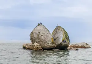 Rocky Shoreline Landscape Prints: Cleaved rock, Split Apple Rock
