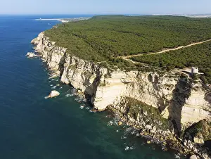 Aerial View Of Spain Prints: Cliff, pine tree (Pinus pinea)