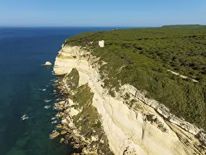 Prints of Cliff, pine tree (Pinus pinea) forest and watchtower Torre de Tajo in the Nature Reserve La Brena y Marismas del Barbate, aerial view, drone shot, Cadiz province, Andalusia, Spain Cliff Aerial View Prints: Aerial View of La Brena y Marismas del Barbate Nature Reserve Print