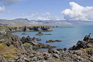 Uninhabited Coastal Landscapes Prints: Cliffs at Arnarstapi, Snaefellsness